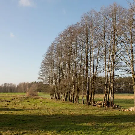 Duza Holenderka - Lewy Brzeg Narwi Burlaki